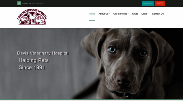 davisveterinaryhospital.com