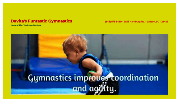 davitasfuntasticgymnastics.com