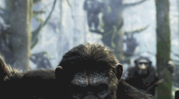 dawnoftheplanetoftheapes-movie.com