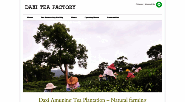 daxitea.com