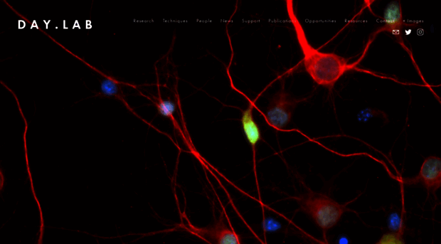 day-lab.org