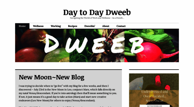 daytodaydweeb.com