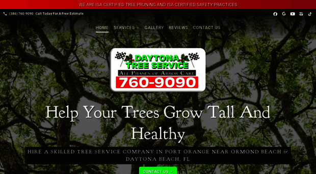 daytonatreeserviceinc.com