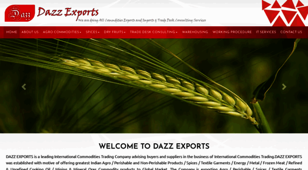 dazzexports.com