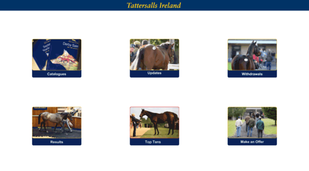 db.tattersalls.ie