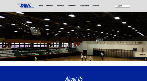 dbalightsolutions.com
