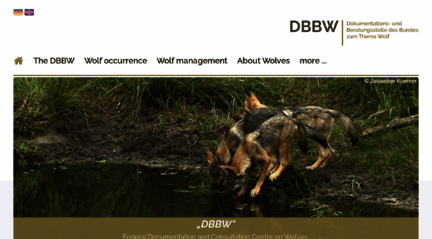 dbb-wolf.de