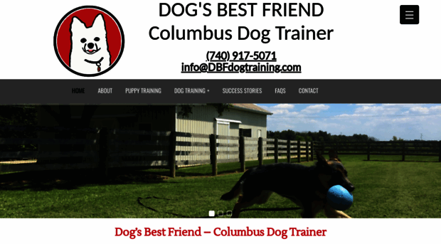 dbfdogtraining.com