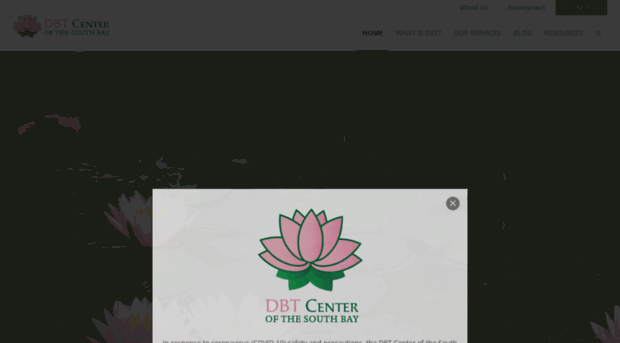 dbtcentersouthbay.com