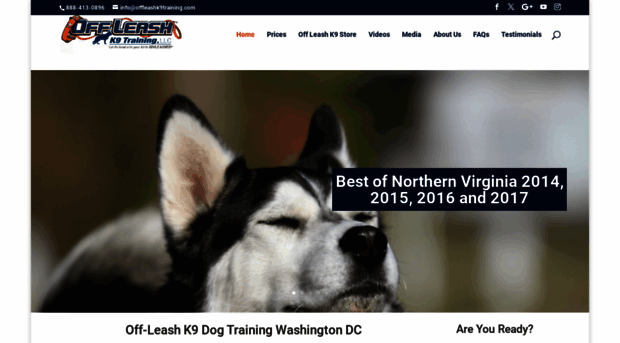 dcdogtrainers.com