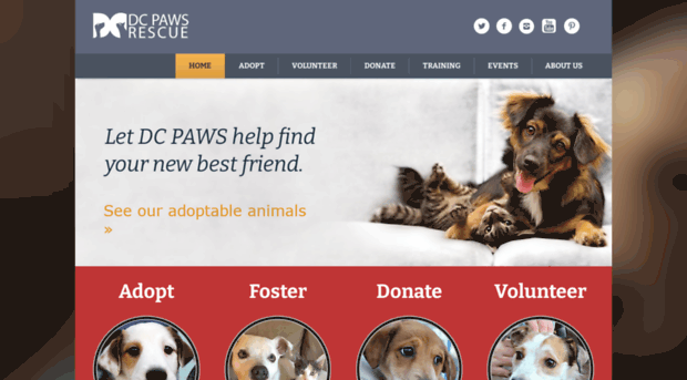 dcpawsrescue.org