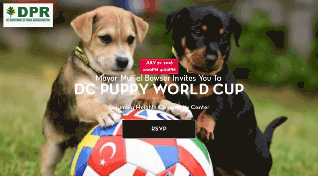 dcpuppyworldcup.splashthat.com