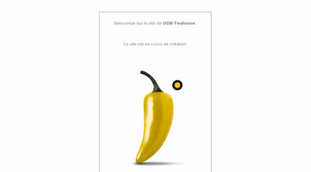 ddb-toulouse.com