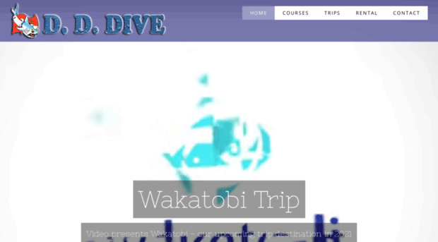 dddive.com