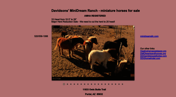 ddgambleguestlodge.com