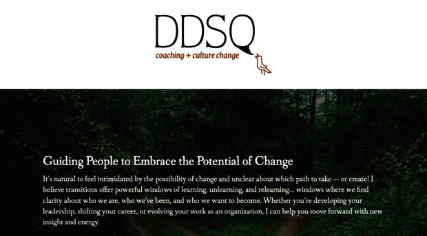 ddsqconsulting.com