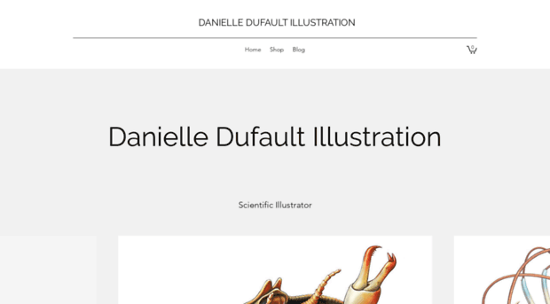 ddufault.com