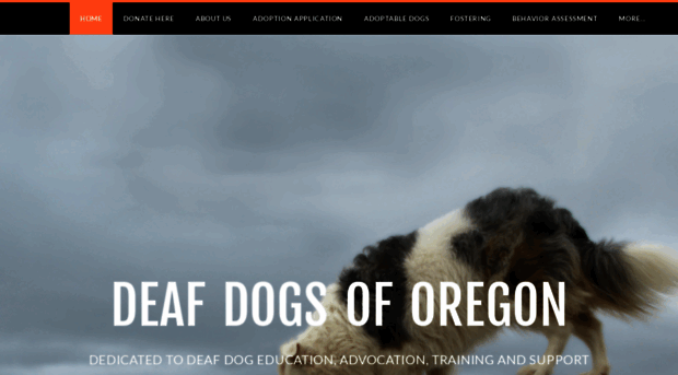 deafdogsoforegon.org