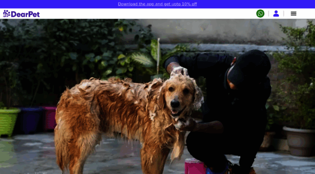 dearpet.in
