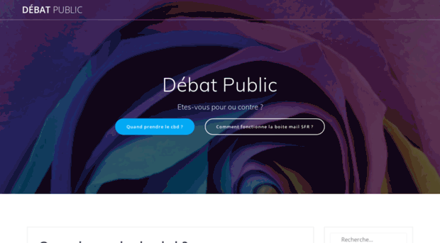 debatpublic-arcexpress.org