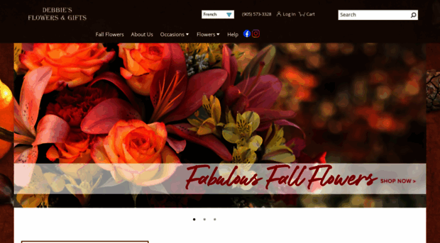 debbiesflowershop.com