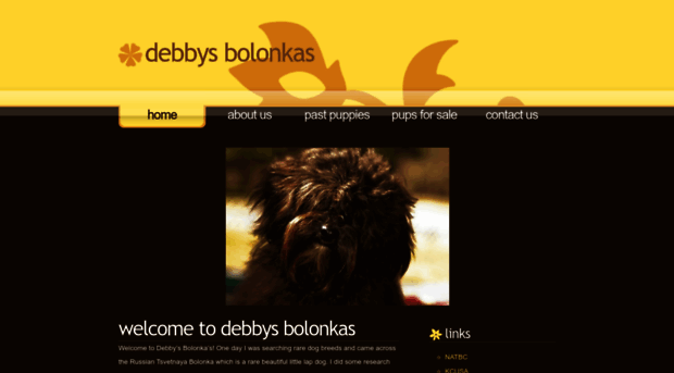 debbysbolonkas.com