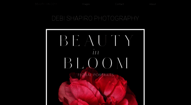 debishapirophotography.com