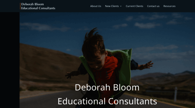 deborahbloomconsultants.com