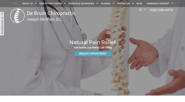 debruinchiropractic.com