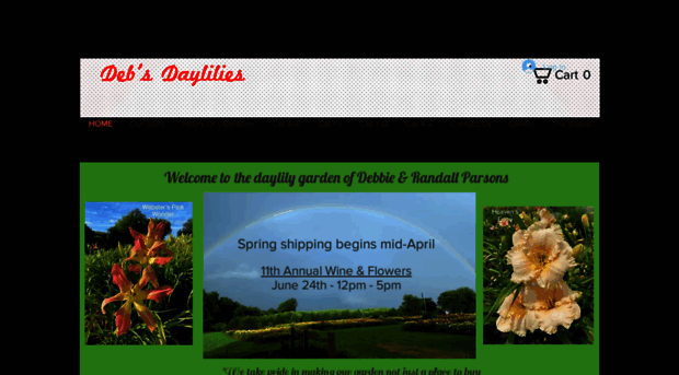 debsdaylilies.com