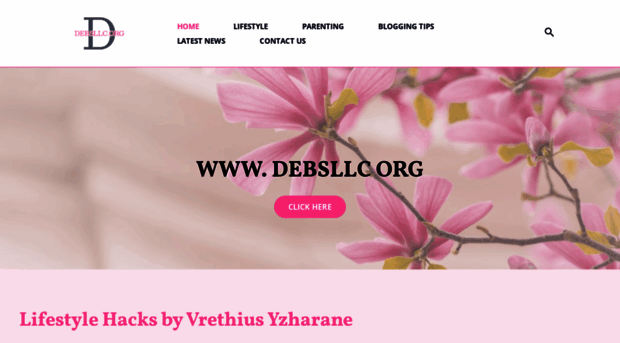 debsllc.org