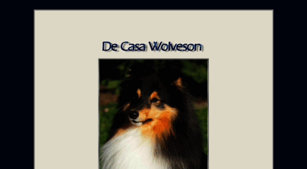decasawolveson.nl