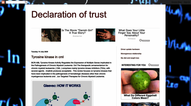 declarationtrust.blogspot.com