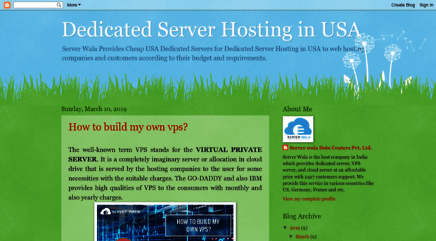 dedicatedserverhostinginusa.blogspot.com