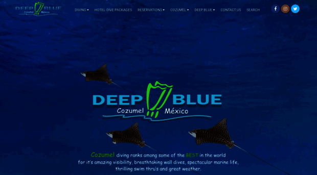 deepbluecozumel.com