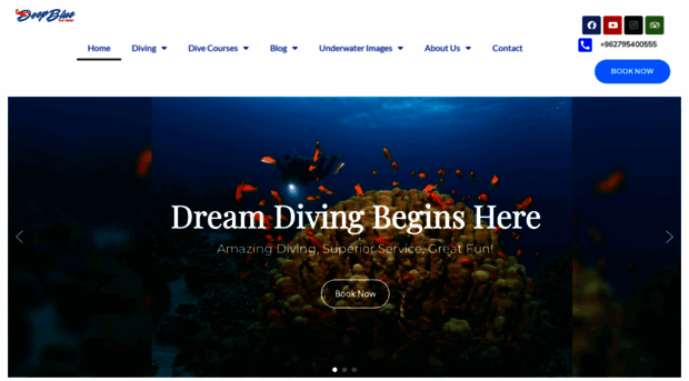 deepbluedivecenter.com