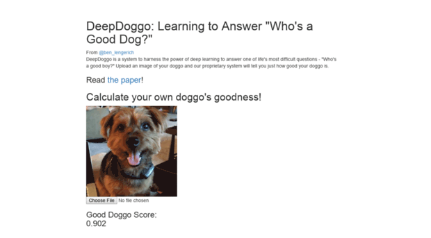 deepdoggo.com