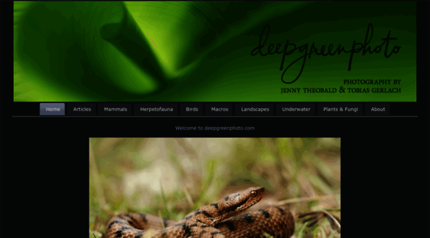 deepgreenphoto.com