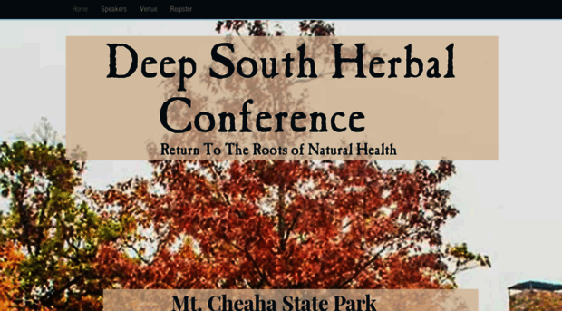 deepsouthconference.com