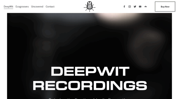 deepwitrecordings.com