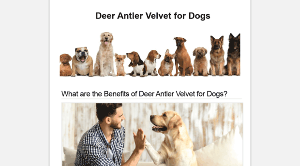 deerantlervelvetfordogs.com