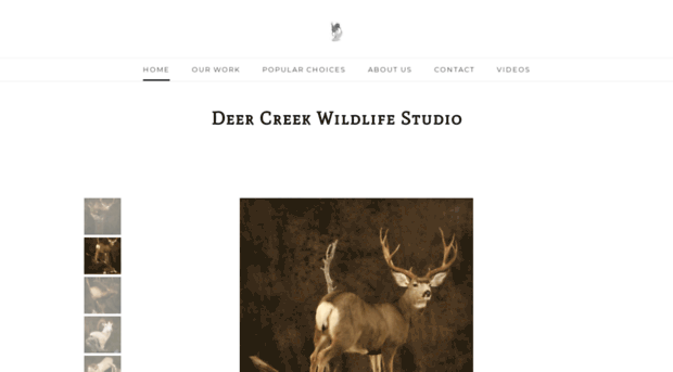 deercreekwildlifestudio.com