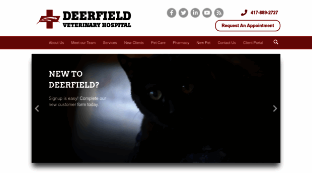 deerfieldvet.com