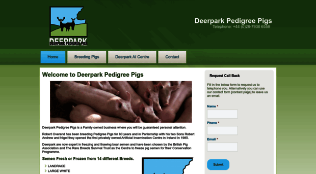 deerpark-pigs.com
