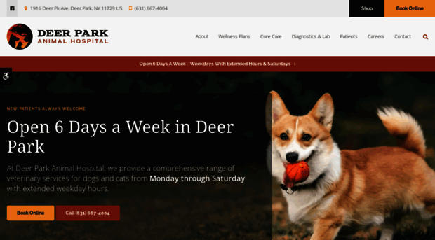 deerparkvet.com