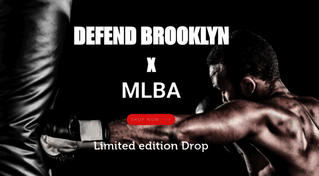 defendbrooklyn.com