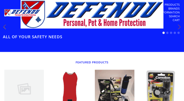 defendusafety.com