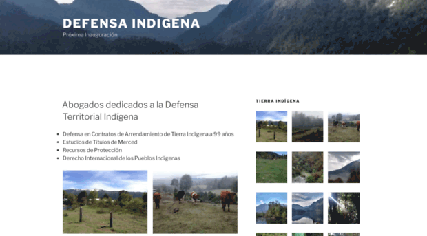 defensaindigena.org
