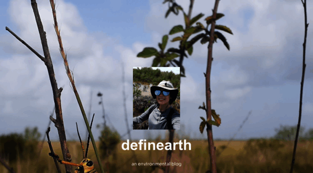 definearth.wordpress.com