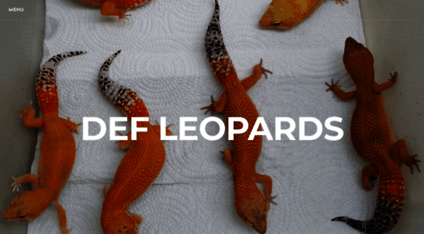 defleopardgeckos.weebly.com - Def Leopards - Def Leopardgeckos Weebly